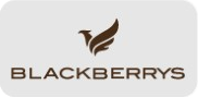Blackberrys logo